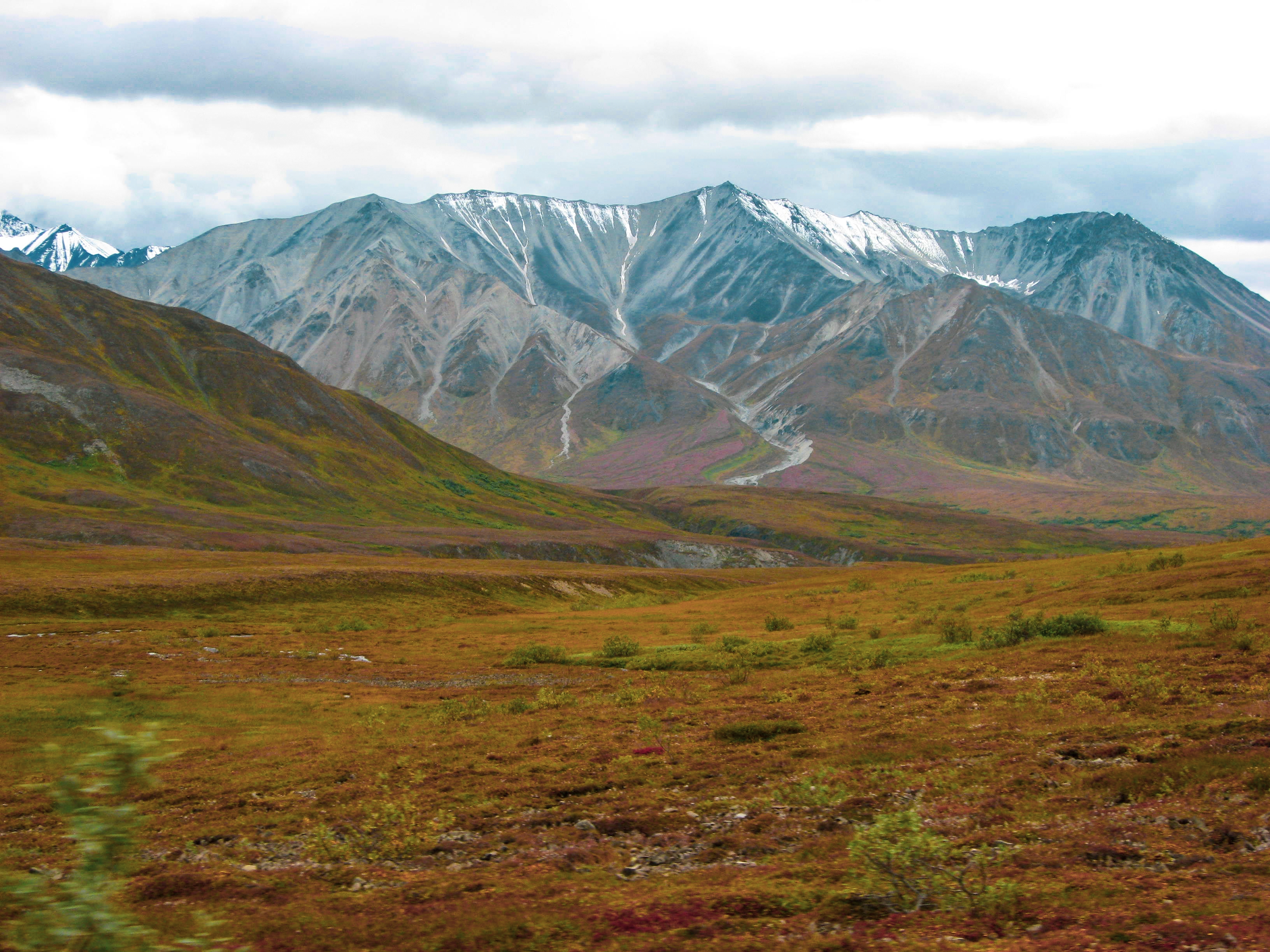 Denali National Park, Alaska Denali National Park, Alaska