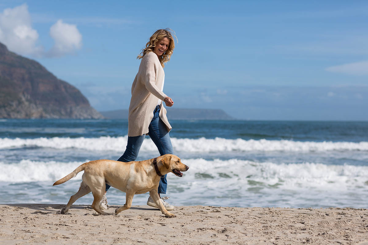 Woman Walking Dog on the Beach by Water Woman Walking Dog on the Beach by Water